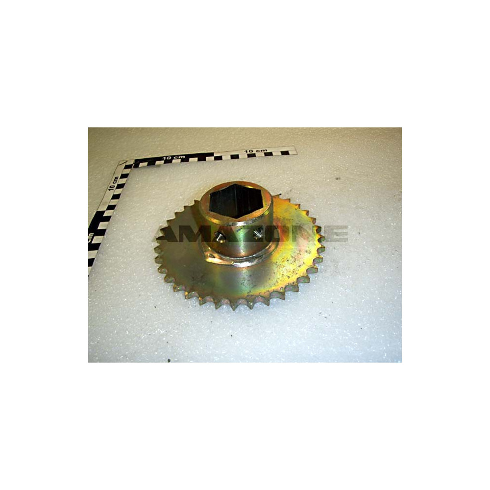 Pignon 36 dents 6PANS 913635 Amazone