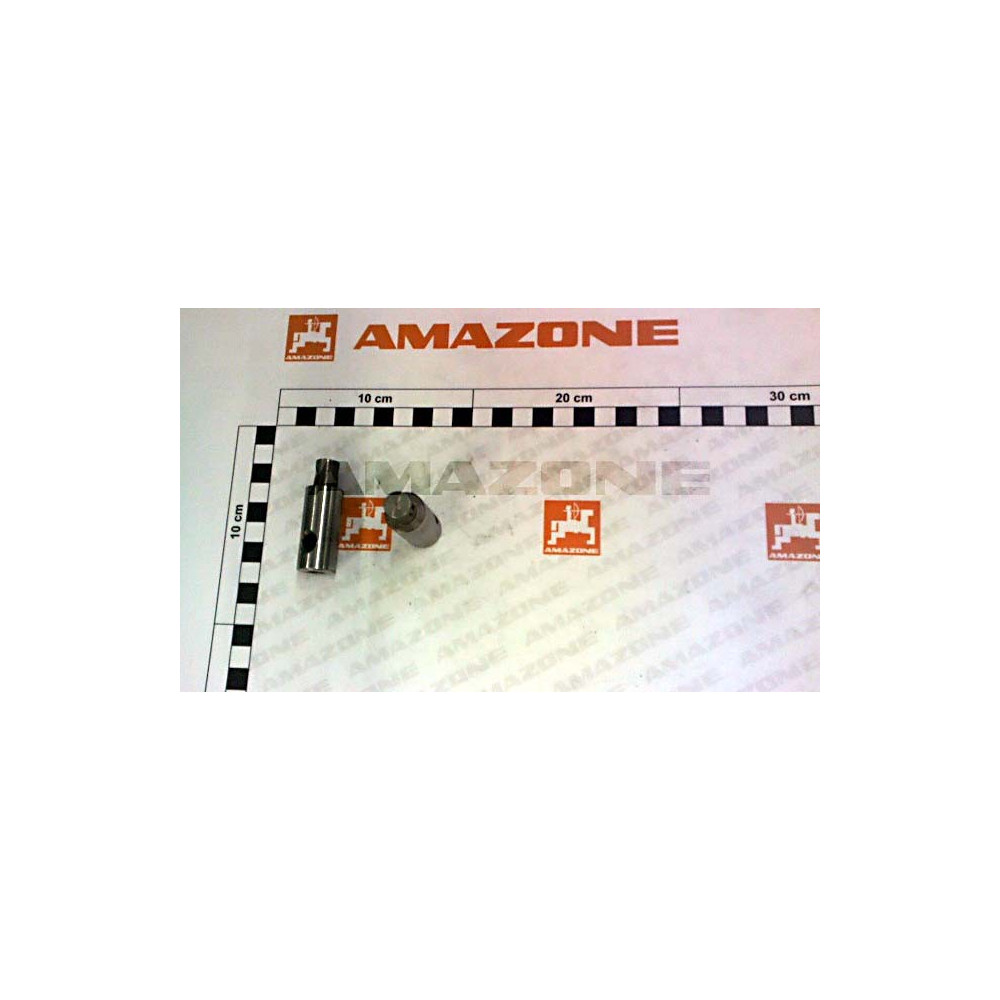 915045 Amazone