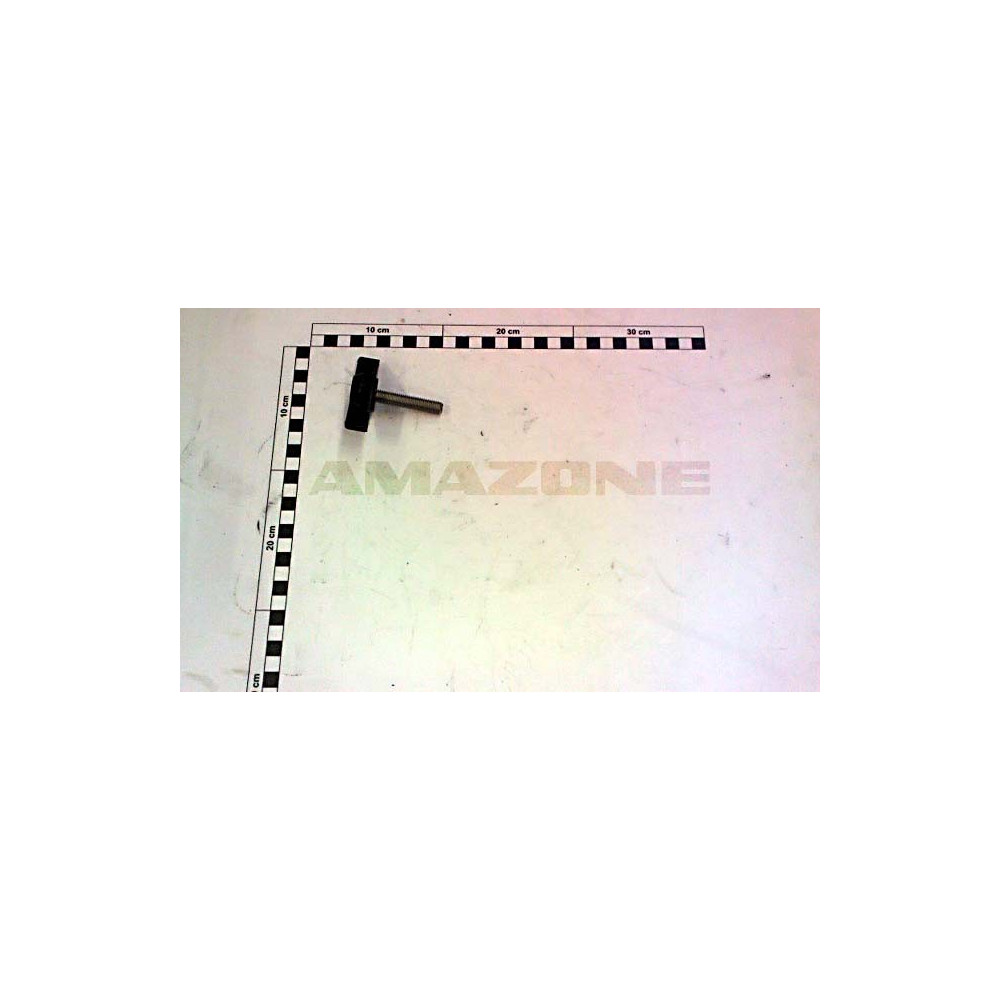 Vis 10X 55 ailette 915134 Amazone
