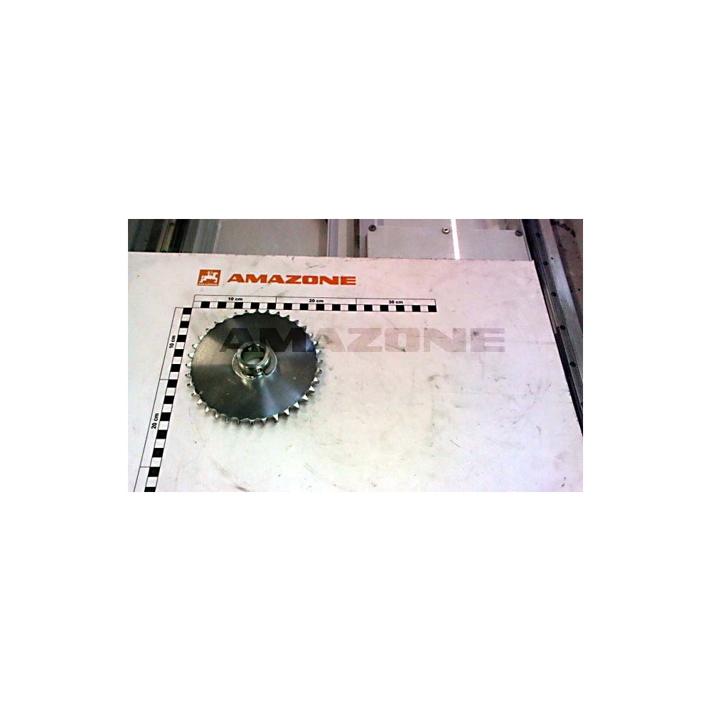 Pignon 36 dents d.25 916287 Amazone
