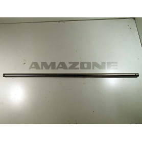 Arbre 916297 Amazone