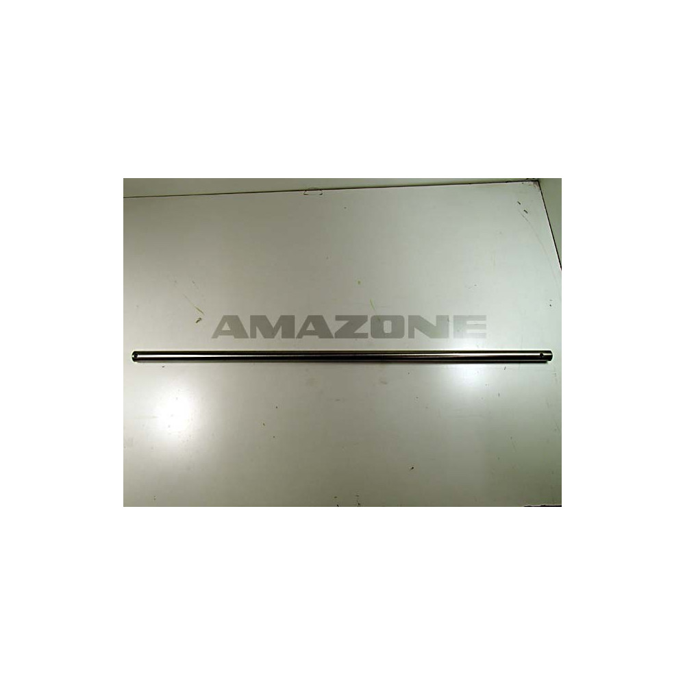 Arbre 916297 Amazone