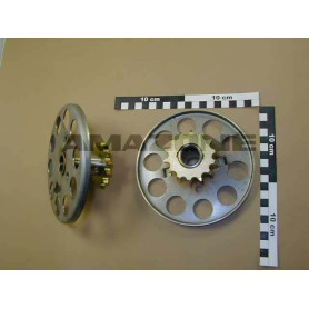 Roue perforee 917415 Amazone
