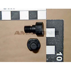 VIS 15X 20 Réf. 917420 AMAZONE VIS 15X 20 Réf. 917420 AMAZONE