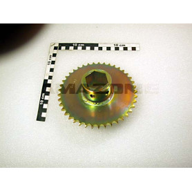 Pignon Z_41 DI_6KT 917456 Amazone