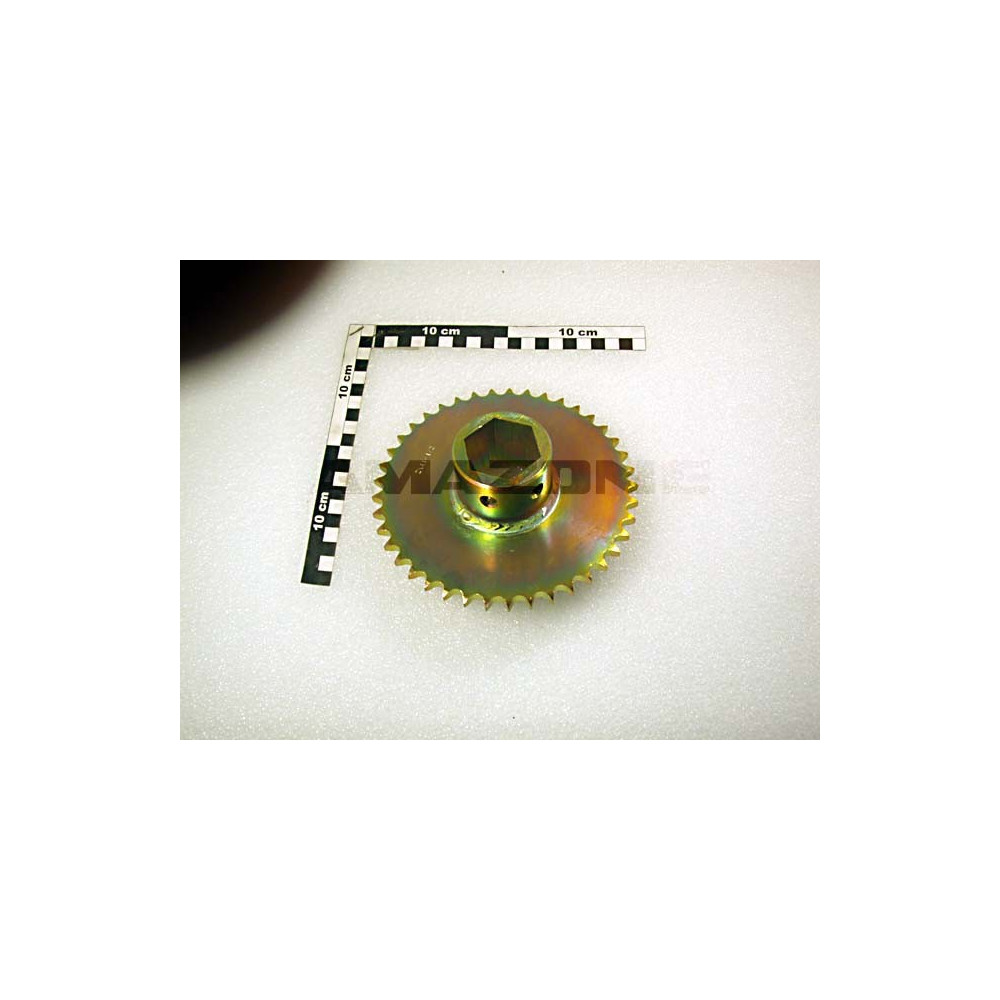 Pignon Z_41 DI_6KT 917456 Amazone
