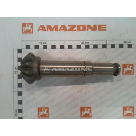 Arbre d'entree 2003-_| ZA-M 918613 Amazone
