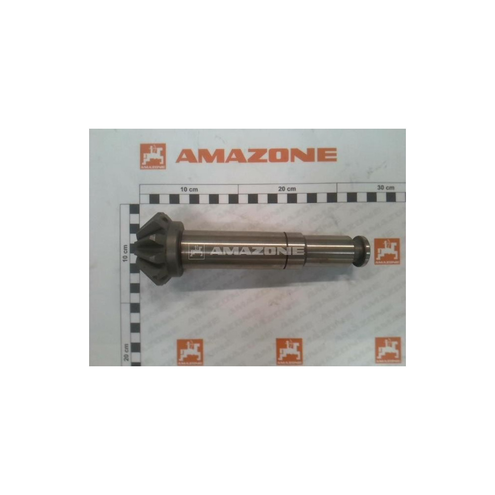 Arbre d'entree 2003-_| ZA-M 918613 Amazone
