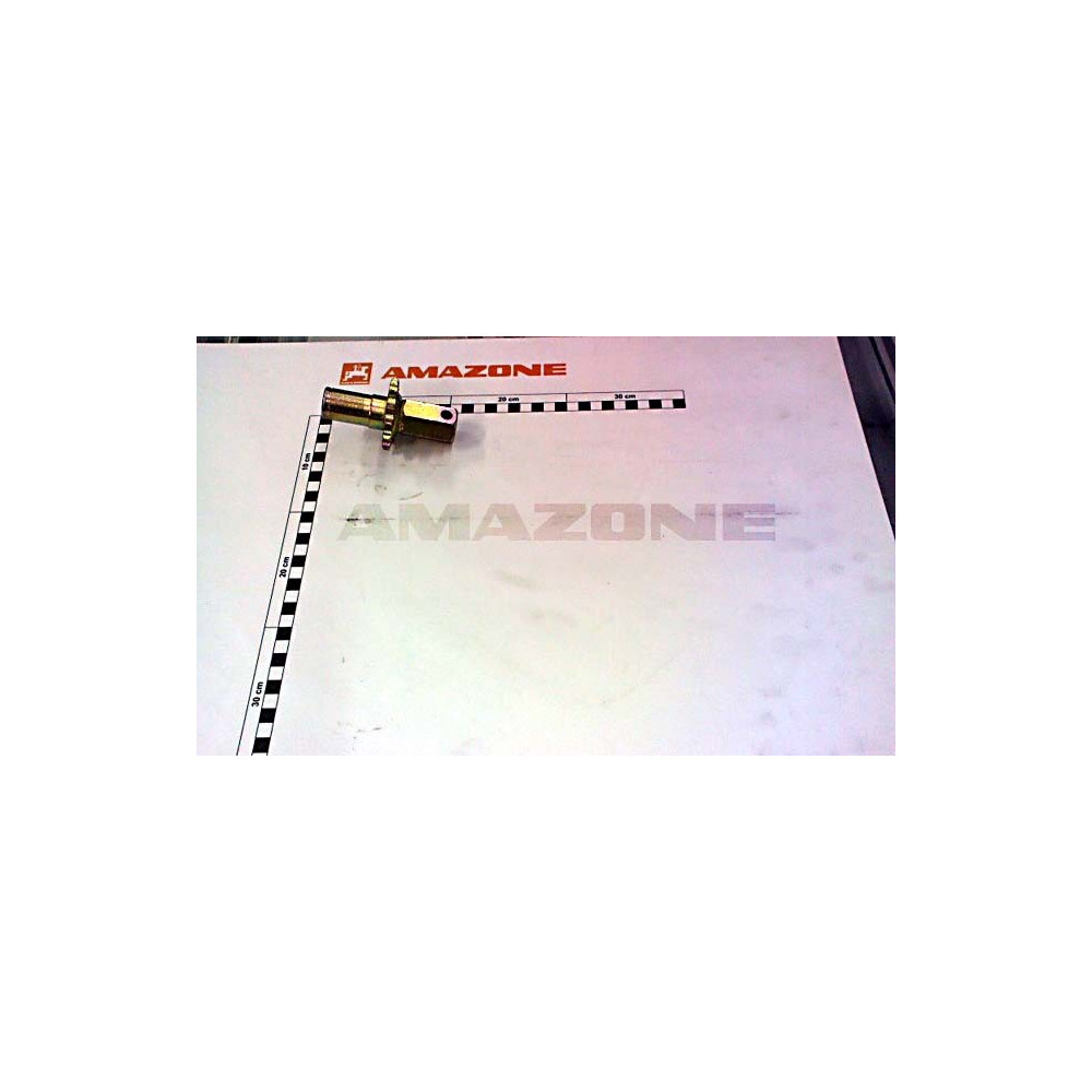 ARBRE-PIGNON 13 dents 925399 Amazone