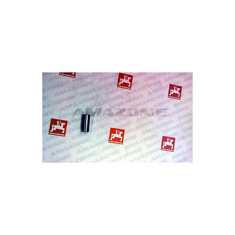 Douille 12X8X29 ZAM 926307 Amazone