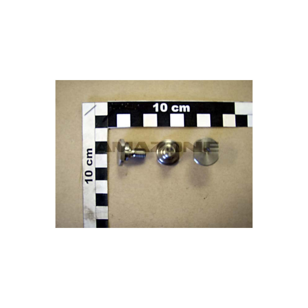 Vis 20X 20 10278 1.4305 epaule 932725 Amazone