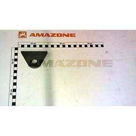 Plaque triangulaire 934496 Amazone