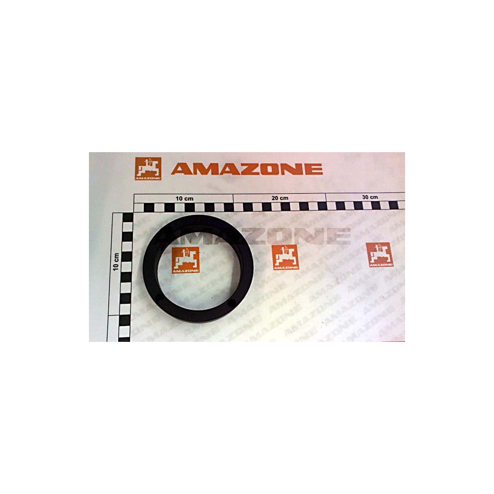 Bague 100 X 22 940306 Amazone