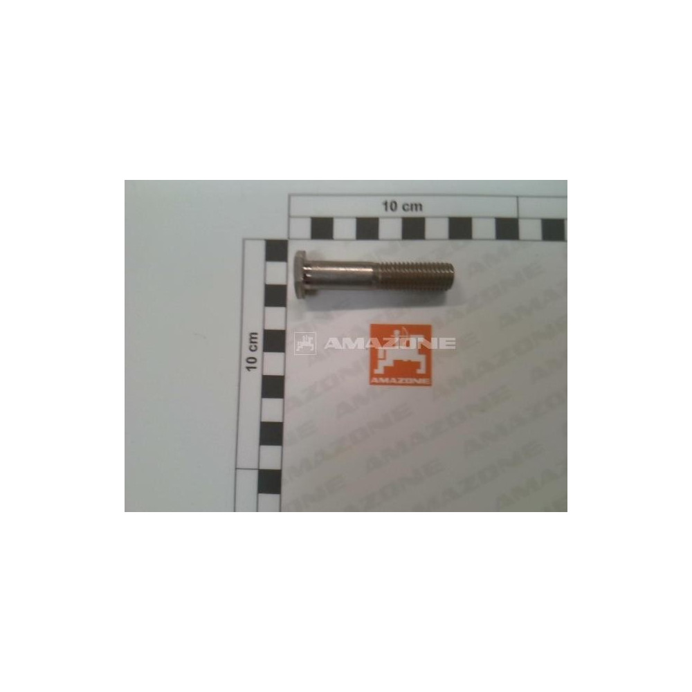 Vis pantera 940332 Amazone