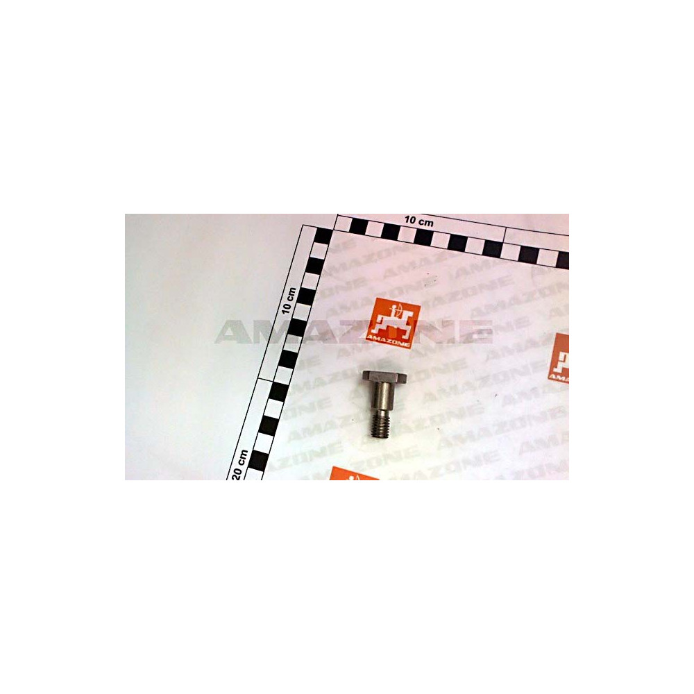 Vis 25 X 35 941184 Amazone