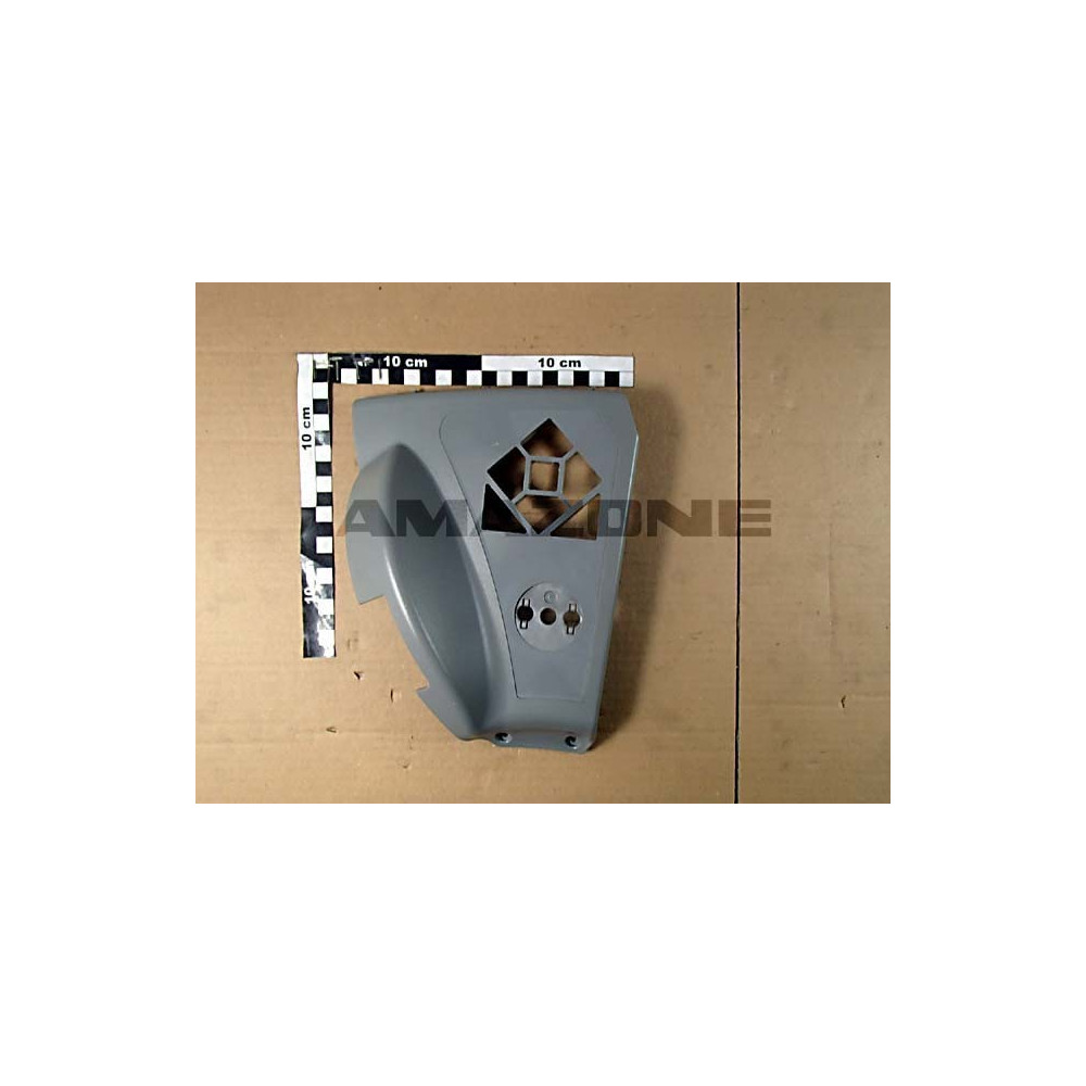 Tableau de bord 941587 Amazone