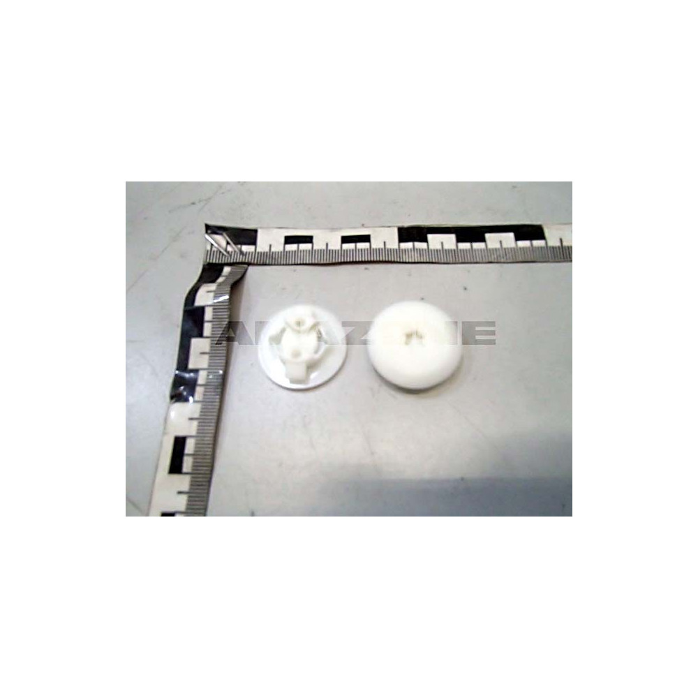 Oeilleton 946795 Amazone