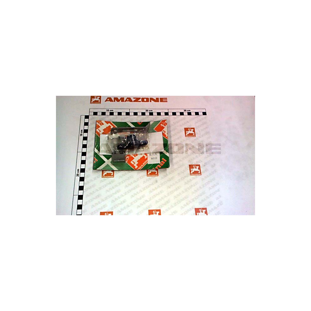 Aube court A gauche 947115 Amazone