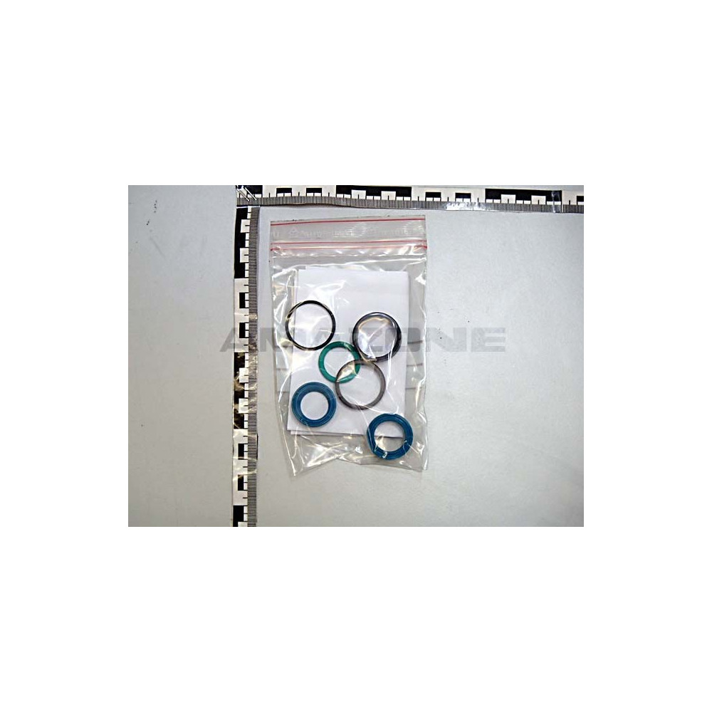 Jeu de joint pour verin 934094 948003 Amazone
