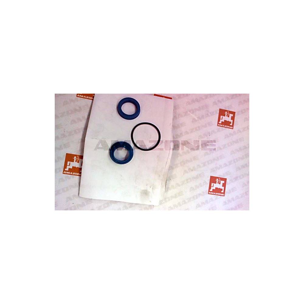 Jeux de joints E-20-55-180 948020 Amazone