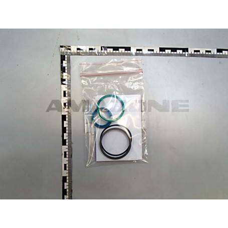 JEU DE JOINTS POUR VERIN 934169 Réf. 948059 AMAZONE JEU DE JOINTS POUR VERIN 934169 Réf. 948059 AMAZONE