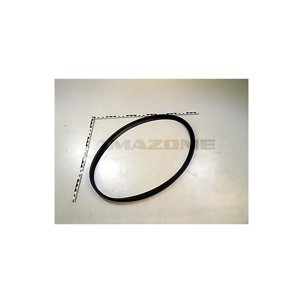 Joint trou d'homme 948846 Amazone