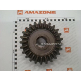 Couronne 25 dents 950854 Amazone
