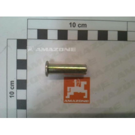 Axe rivet 10X38 950936 Amazone
