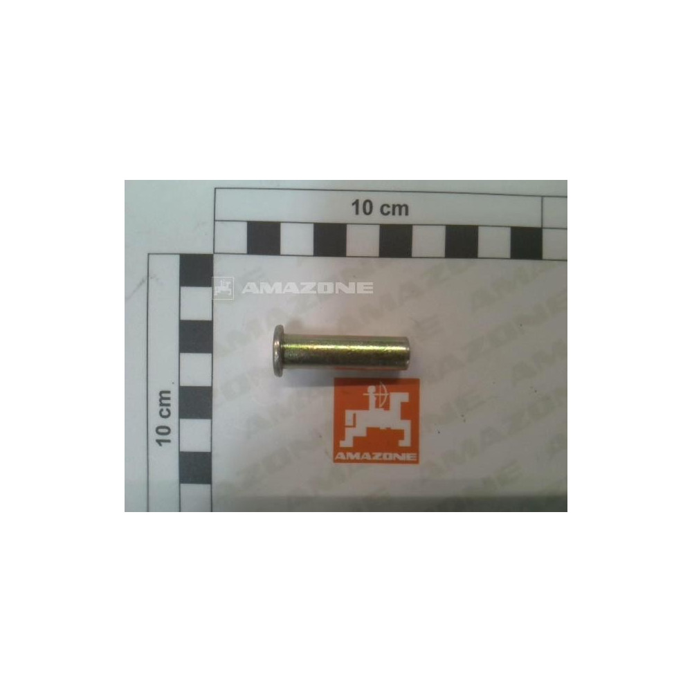 Axe rivet 10X38 950936 Amazone