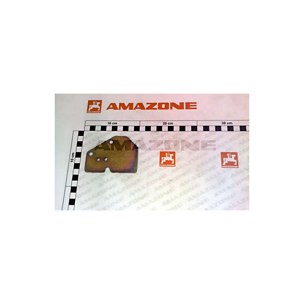 Plaquette 951857 Amazone