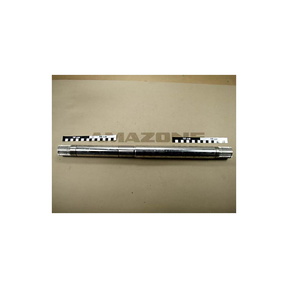 Arbre 952187 Amazone