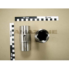 Arbre creux 955824 Amazone