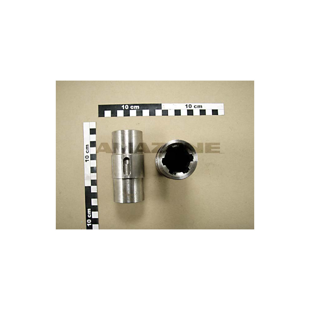 Arbre creux 955824 Amazone