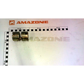 Excentrique 963594 Amazone