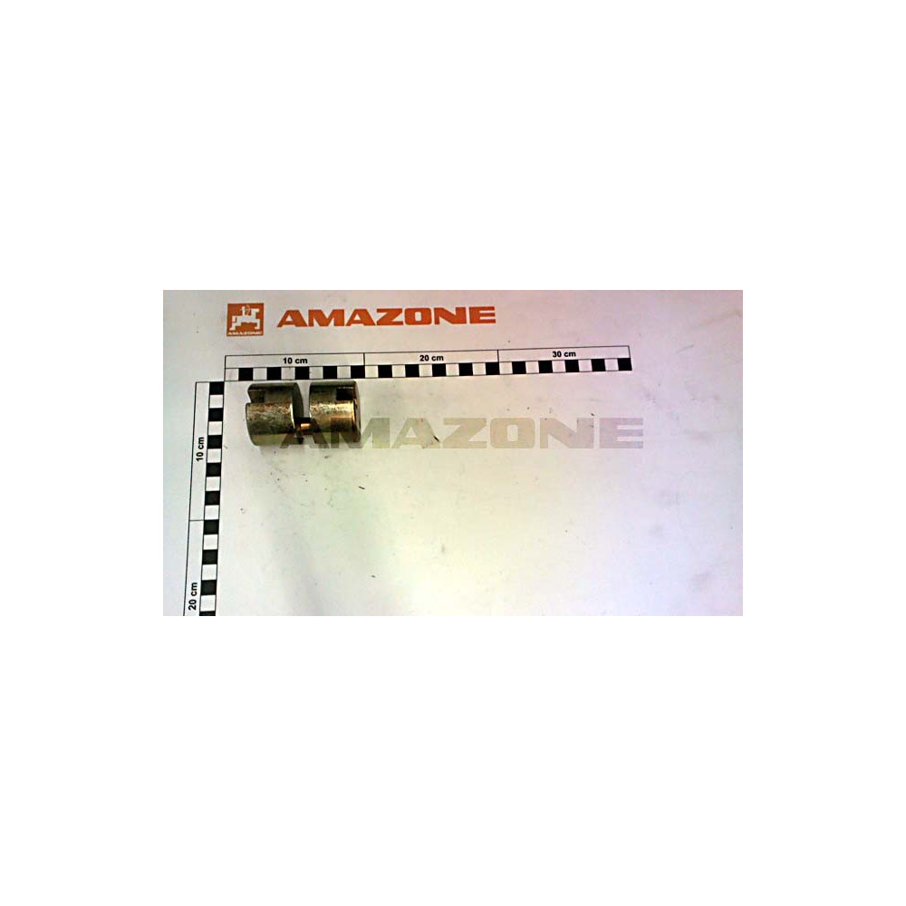 Excentrique 963594 Amazone