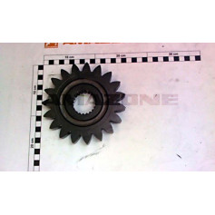 Pignon Z 19 M 7 B 18MM Réf. 966040 - AMAZONE Pignon Z 19 M 7 B 18MM Réf. 966040 - AMAZONE