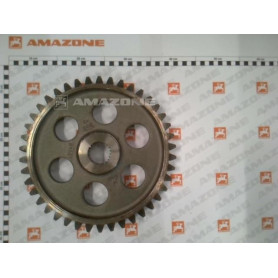 Couronne pignon KE253 special 969986 Amazone
