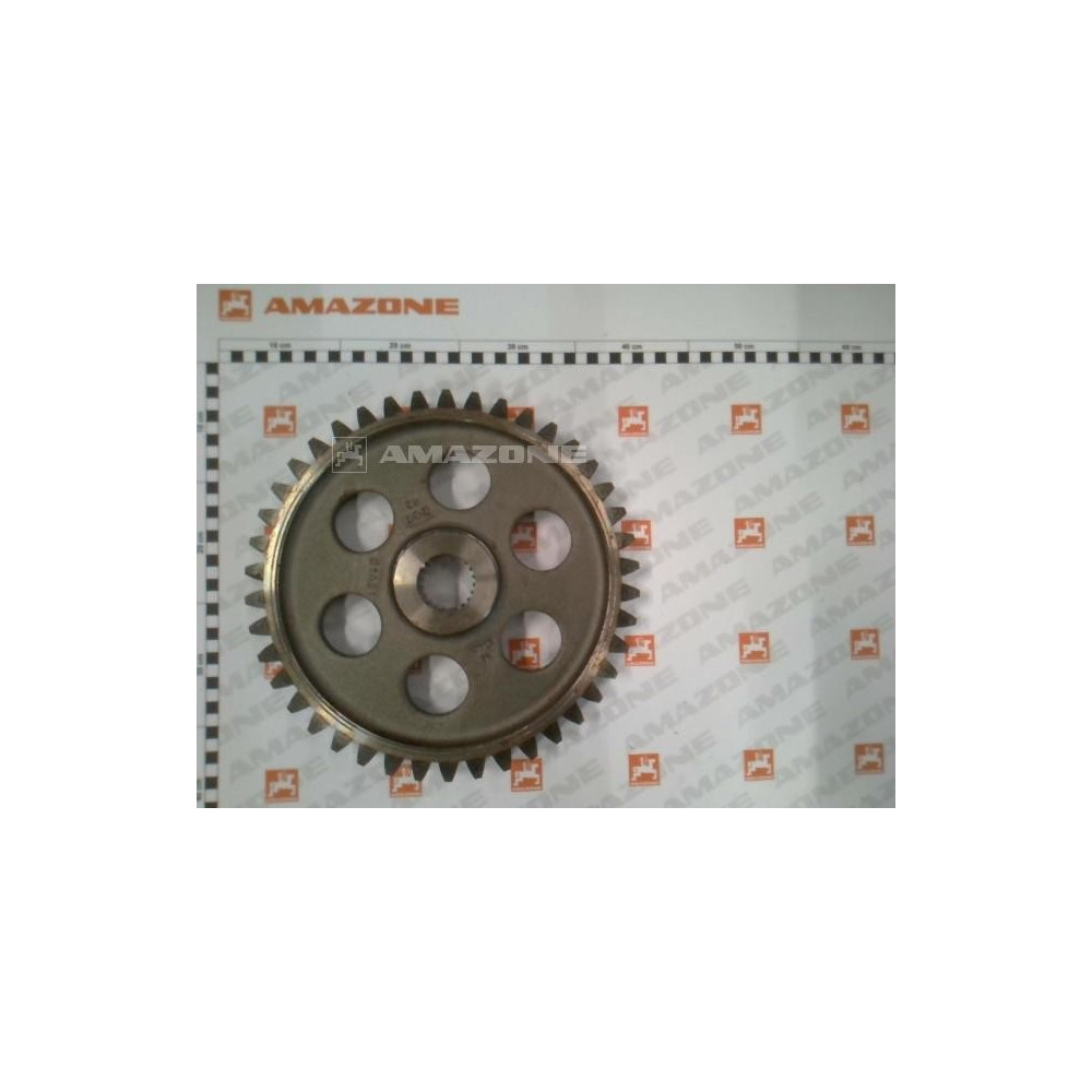 Couronne pignon KE253 special 969986 Amazone