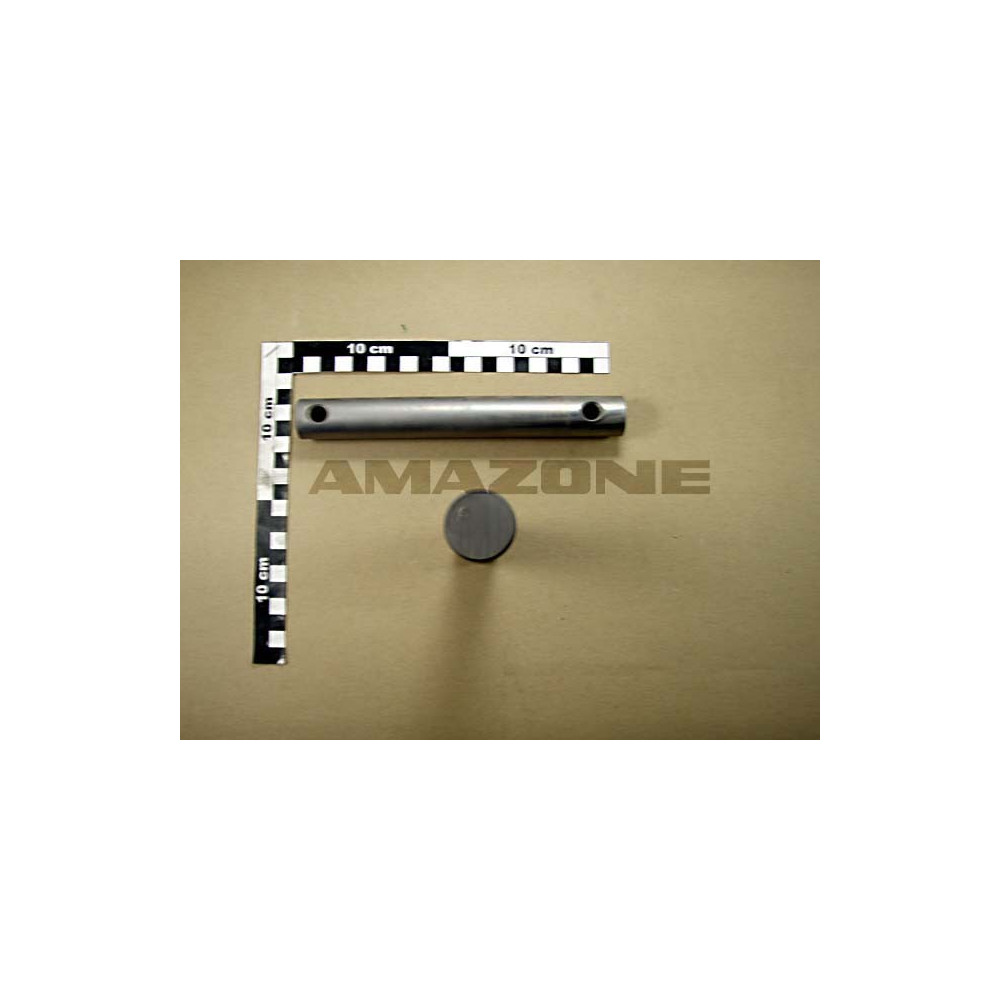 Axe 25X198X10X163 972663 Amazone