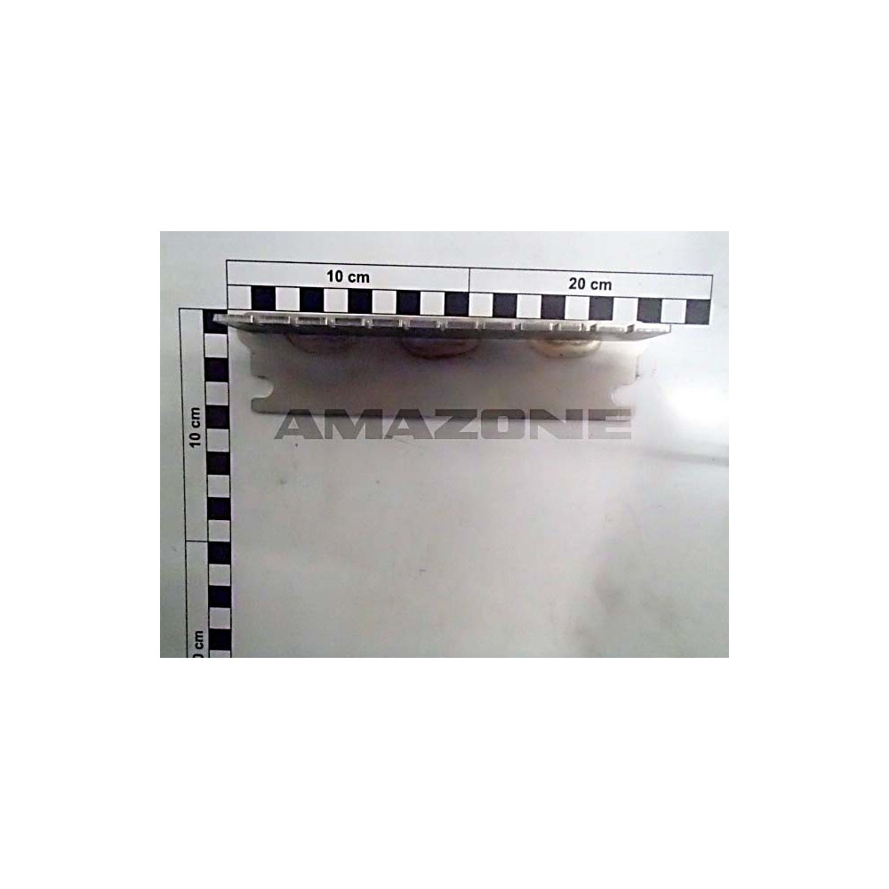 Tole 977011 Amazone
