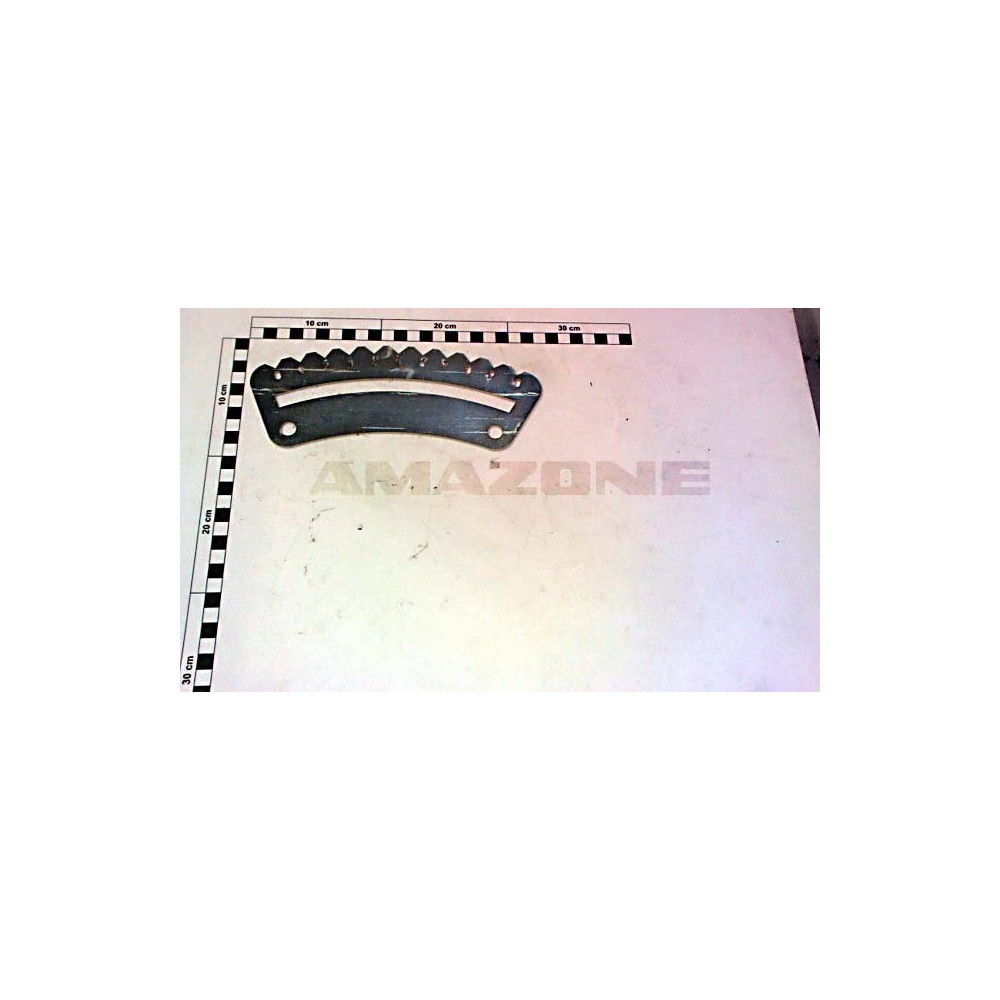 Plaque de graduation 990911 Amazone