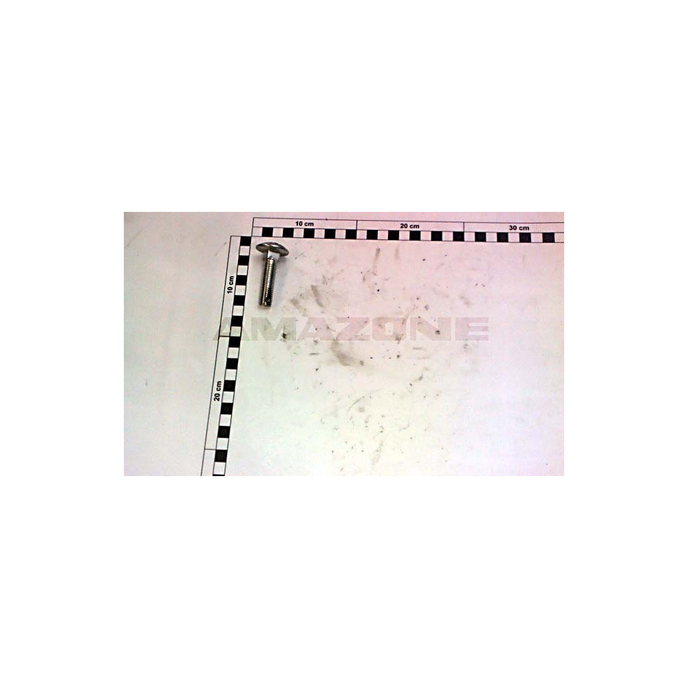Vis 12X 50 8677 8.8 A2G 993130 Amazone