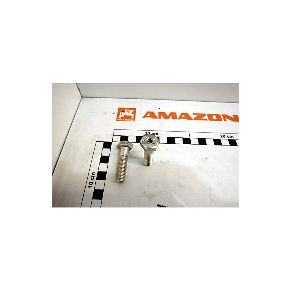 Vis 10 X 40 8.8 999633 Amazone