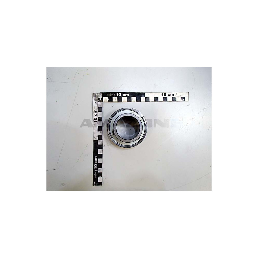RLT GAY 45 nppb CA054 Amazone