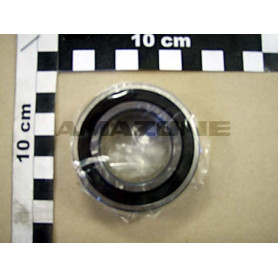 RLT 6007 2RS/C3 CA074 Amazone