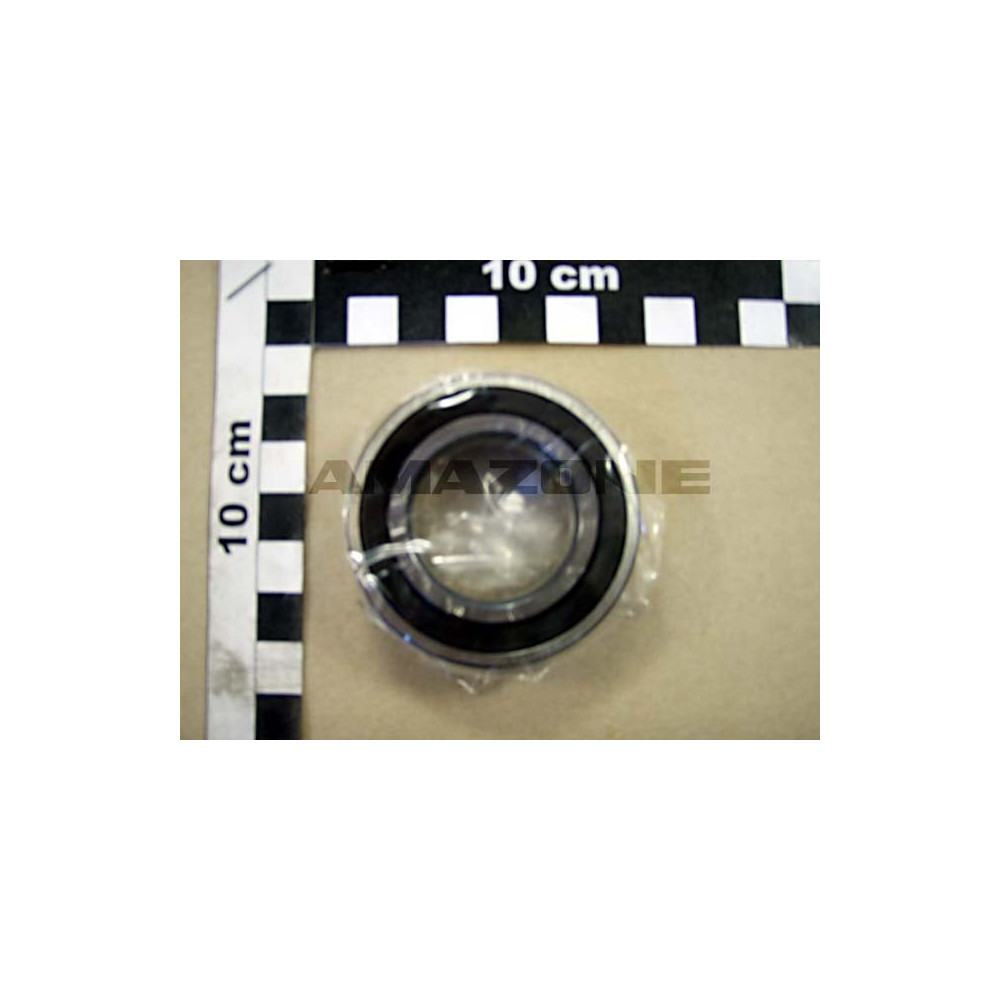 RLT 6007 2RS/C3 CA074 Amazone