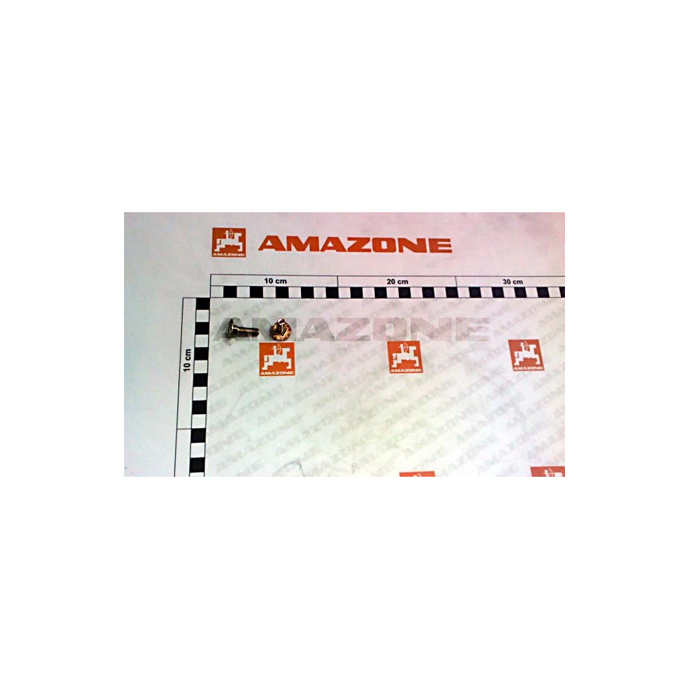 Vis 06X 20 8677 4.6 A2G DA053 Amazone