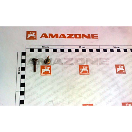 VIS 06X 30 8677 8.8 A2G Réf. DA054 AMAZONE VIS 06X 30 8677 8.8 A2G Réf. DA054 AMAZONE