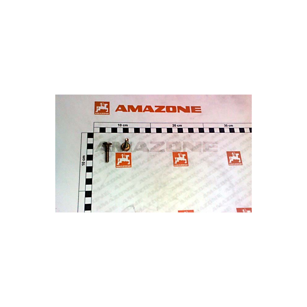 Vis 06X 30 8677 8.8 A2G DA054 Amazone