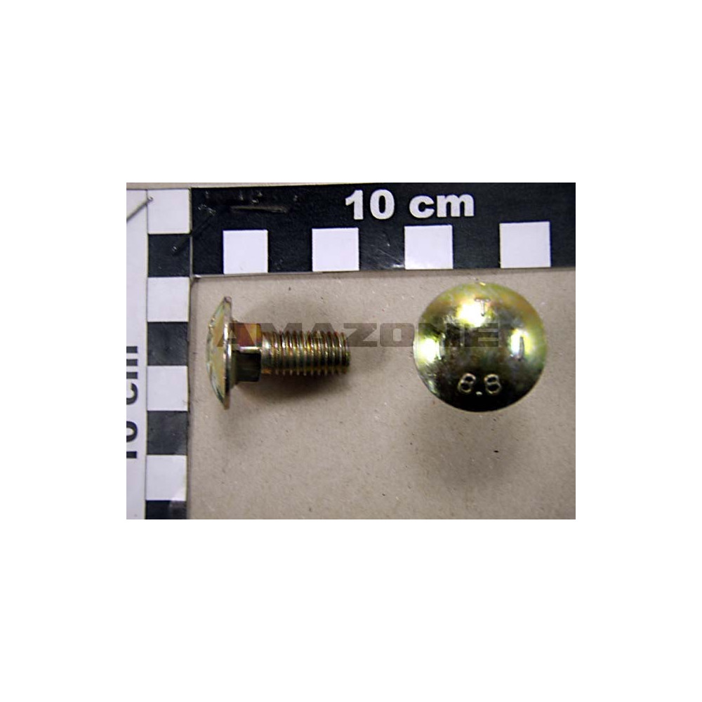 Vis 10X 25 603 8.8 DA086 Amazone